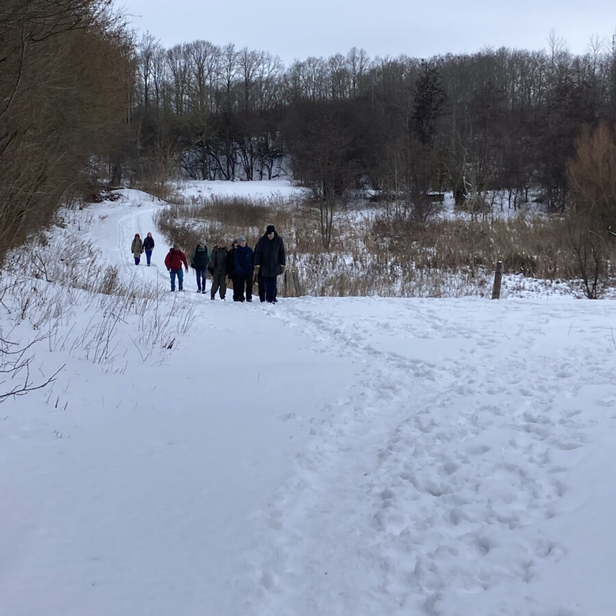 pilgrimsvandring i sneklædte landskaber