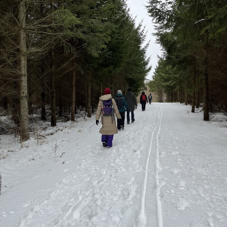 Pilgrimsvandrere gennem sneklædt skov