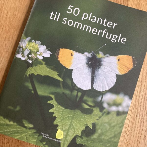 Hæfte om sommerfugleplanter